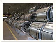 Steel Coils